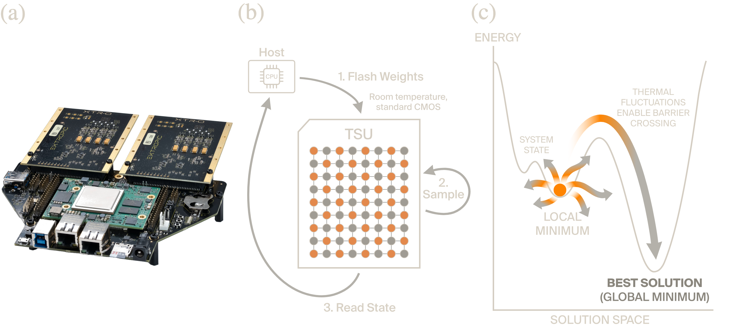 fig1_combined